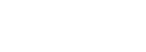 Style- en Imagocoach
